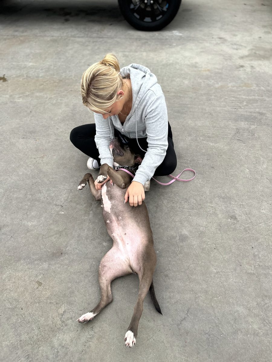 A previously reactive rescue dog lying relaxed on its back beside a trainer in San Diego